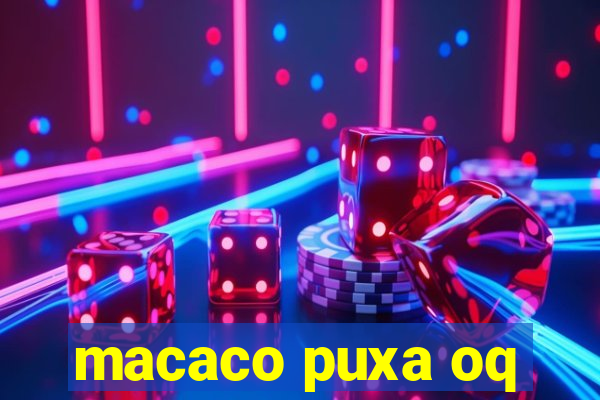 macaco puxa oq